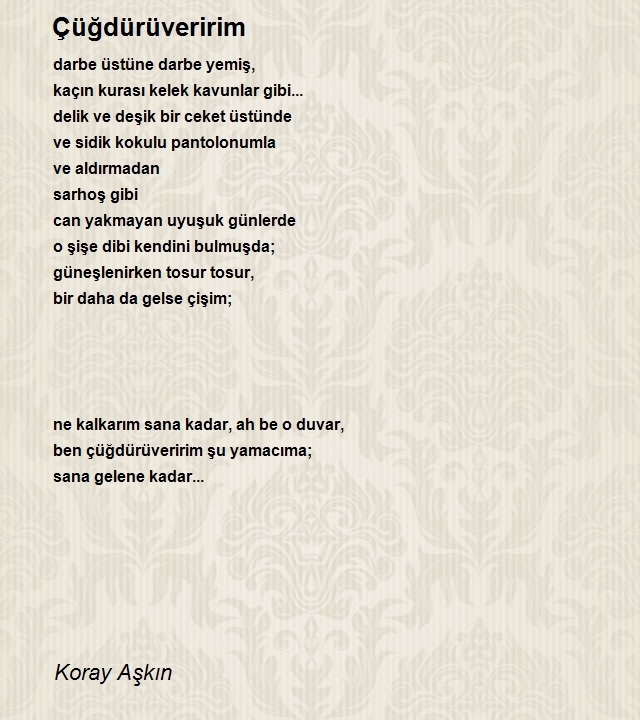 Koray Aşkın