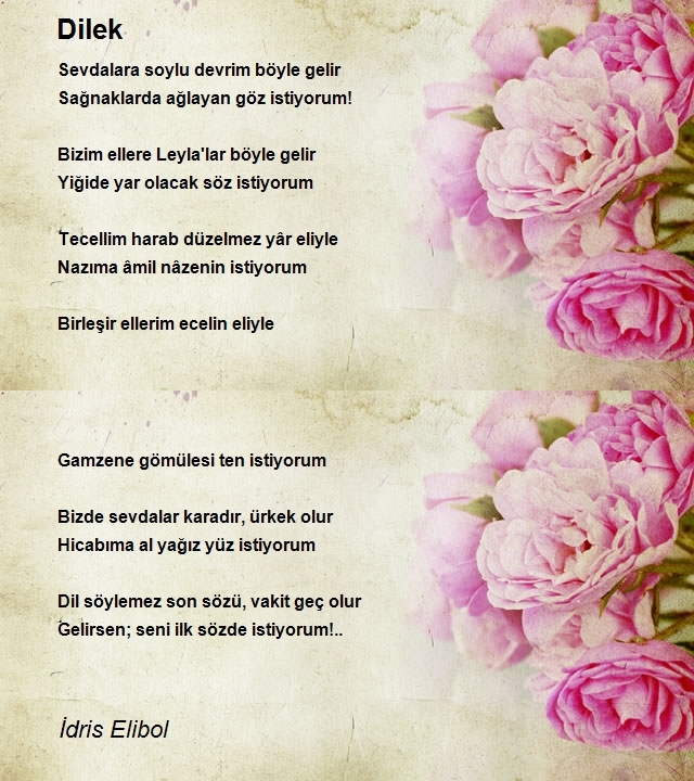 İdris Elibol