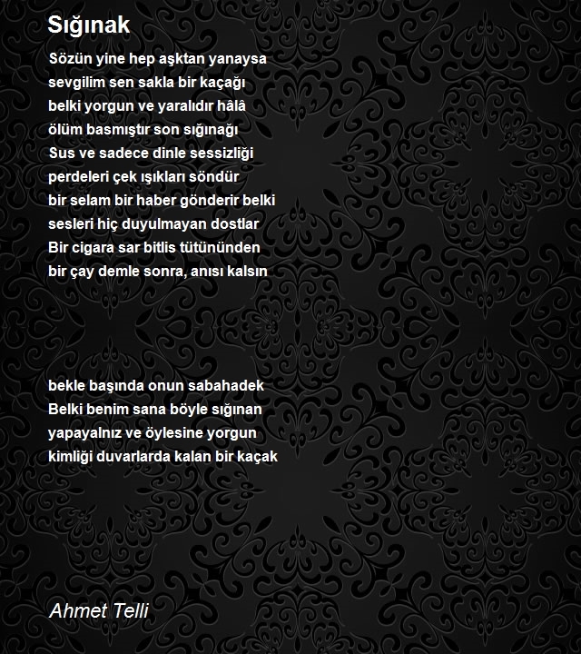 Ahmet Telli