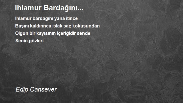 Edip Cansever