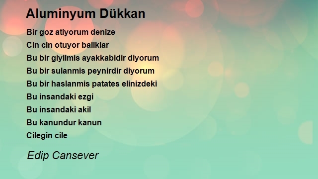 Edip Cansever