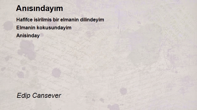 Edip Cansever