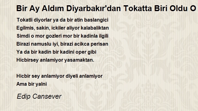 Edip Cansever