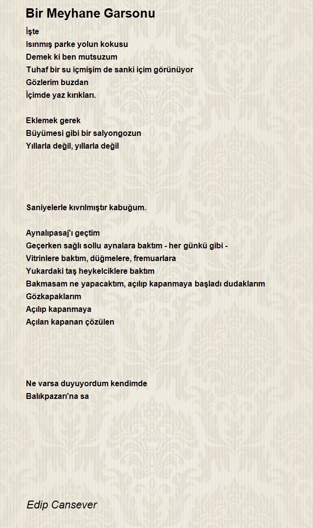 Edip Cansever