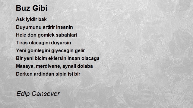 Edip Cansever