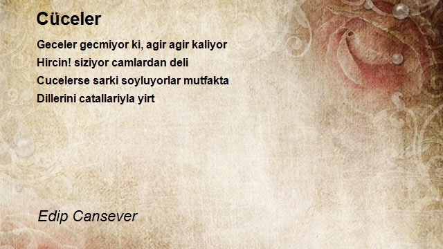 Edip Cansever