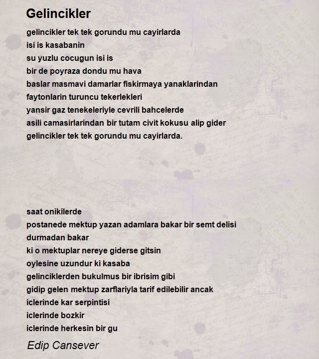 Edip Cansever