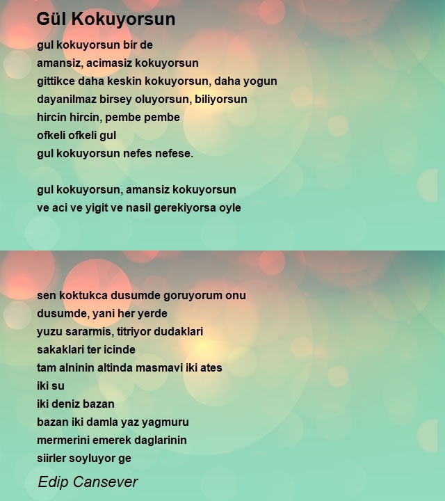 Edip Cansever