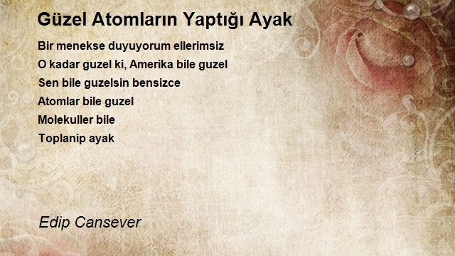 Edip Cansever