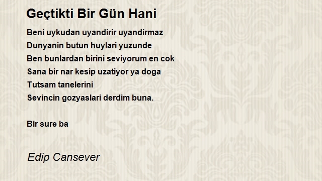 Edip Cansever