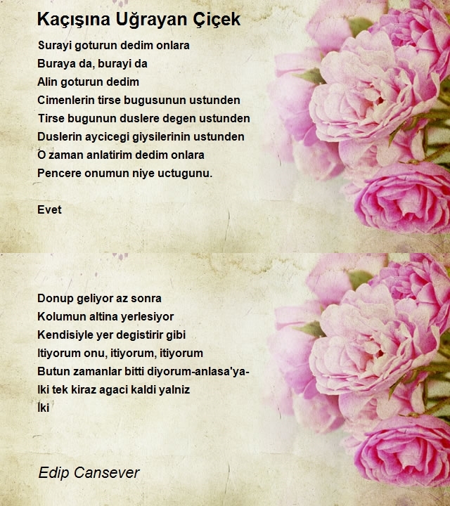 Edip Cansever