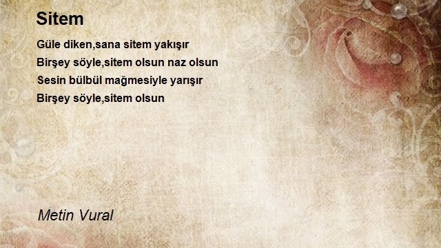 Metin Vural