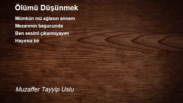 Muzaffer Tayyip Uslu