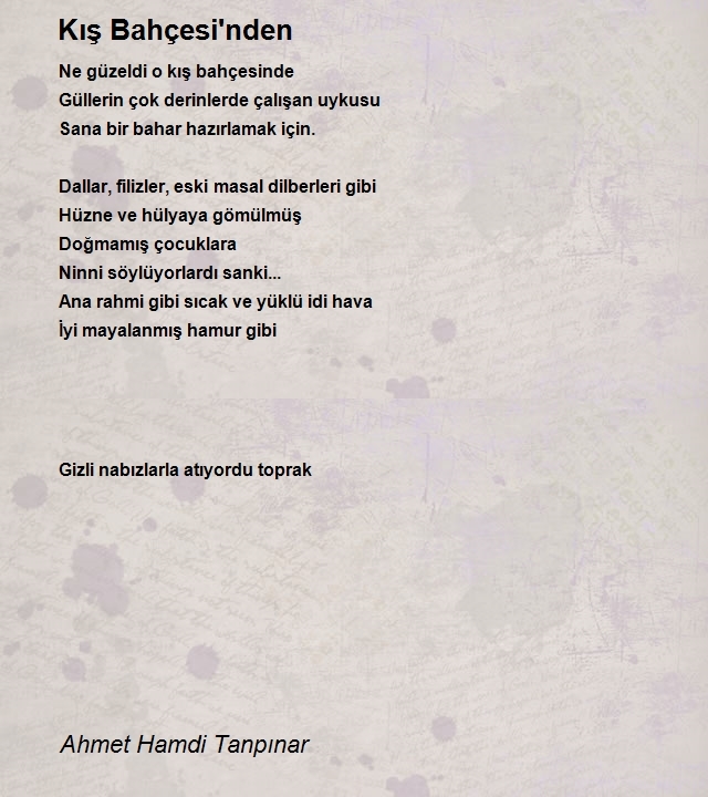 Ahmet Hamdi Tanpınar