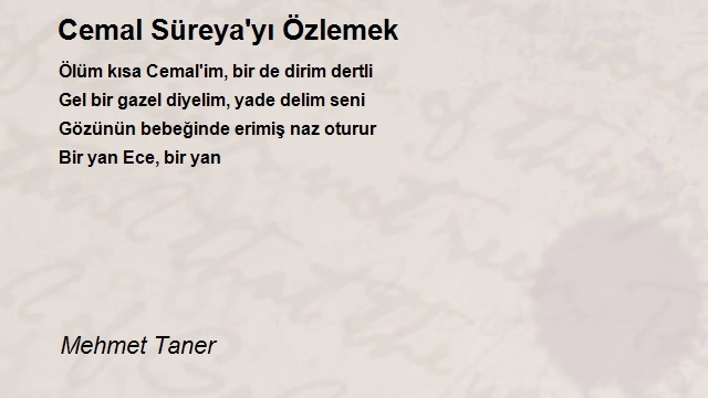 Mehmet Taner