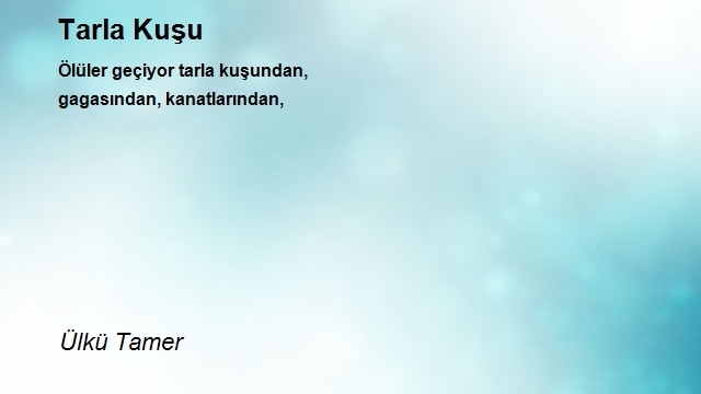 Ülkü Tamer