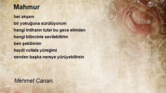 Mehmet Canan