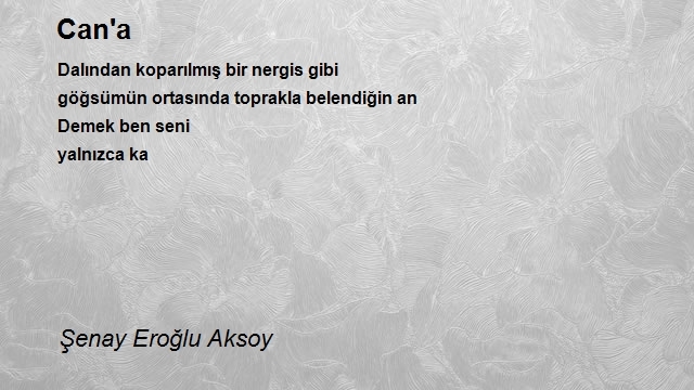 Şenay Eroğlu Aksoy