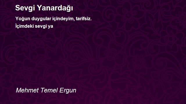 Mehmet Temel Ergun