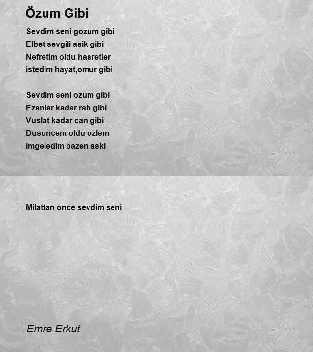 Emre Erkut