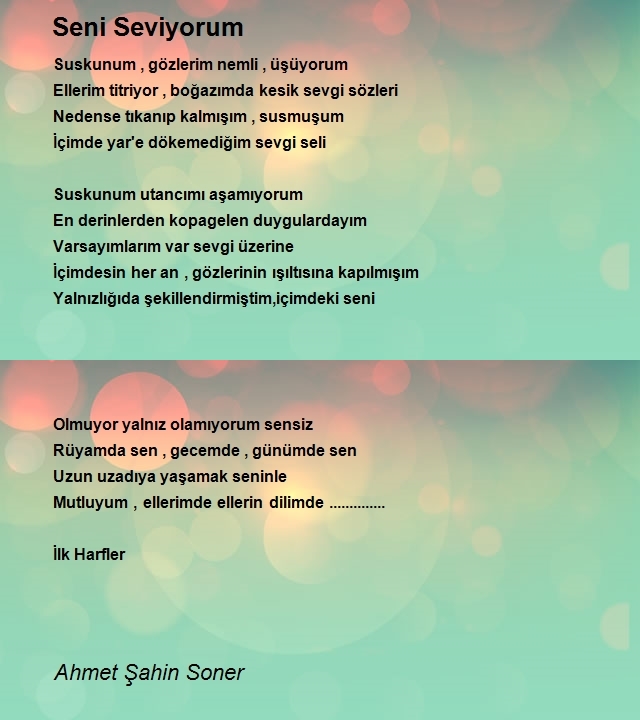 Ahmet Şahin Soner