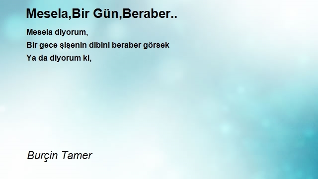 Burçin Tamer