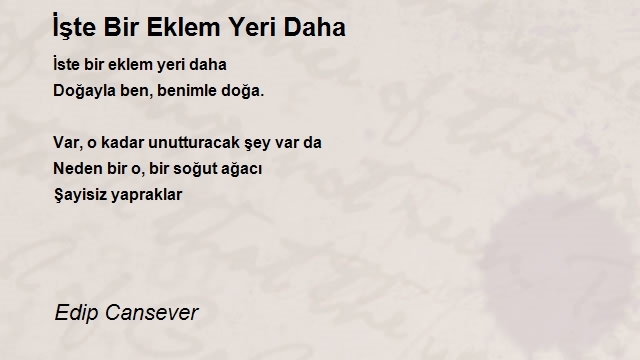 Edip Cansever