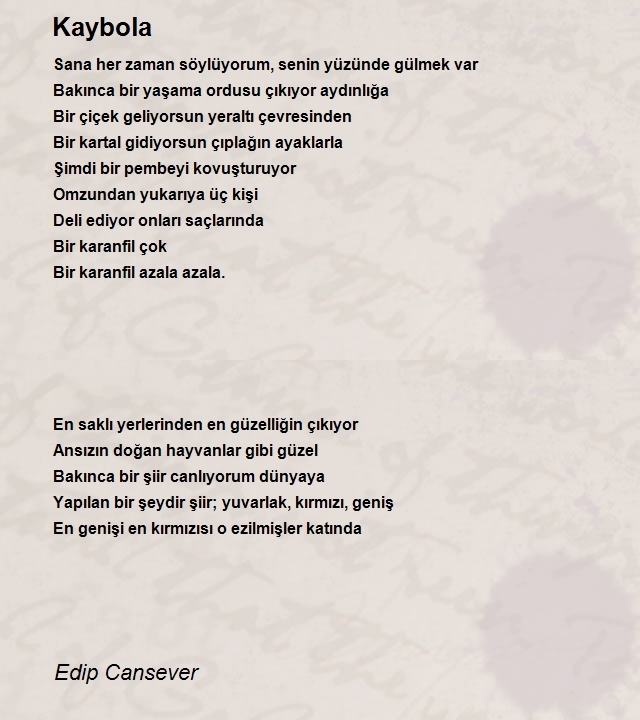 Edip Cansever