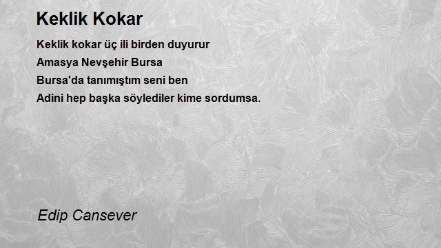 Edip Cansever