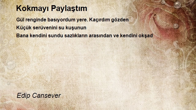 Edip Cansever