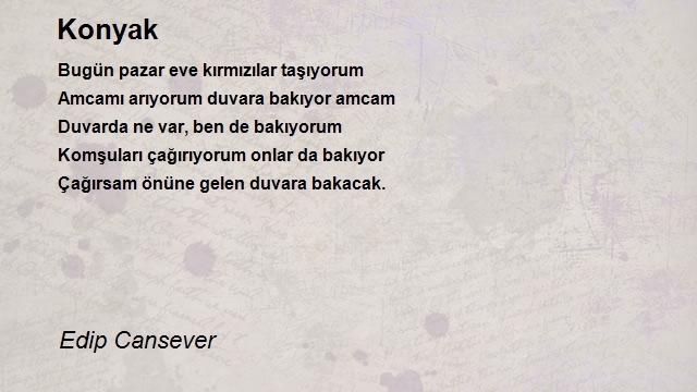 Edip Cansever