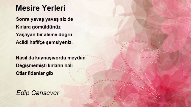 Edip Cansever