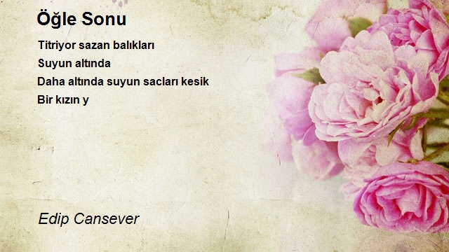 Edip Cansever