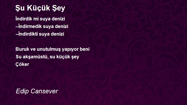 Edip Cansever