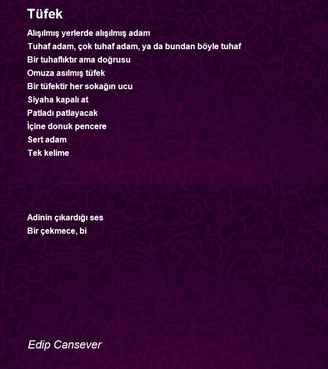 Edip Cansever