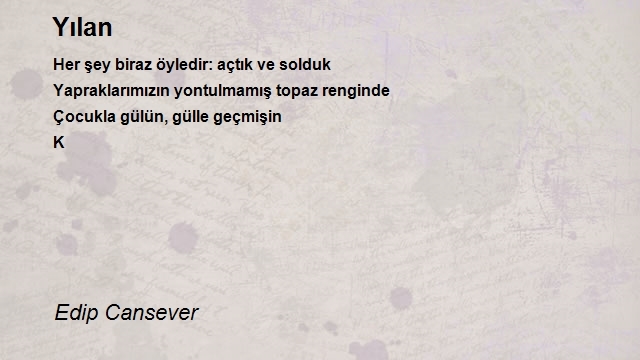 Edip Cansever