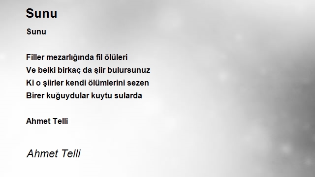 Ahmet Telli