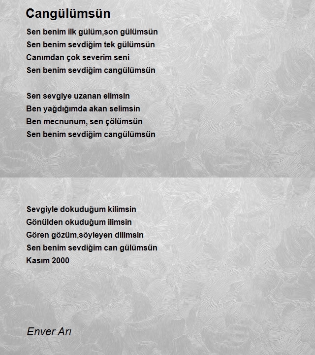 Enver Arı