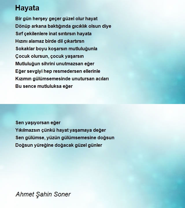 Ahmet Şahin Soner