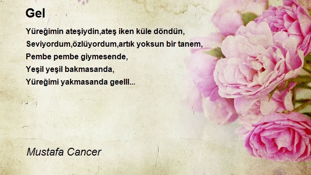 Mustafa Cancer