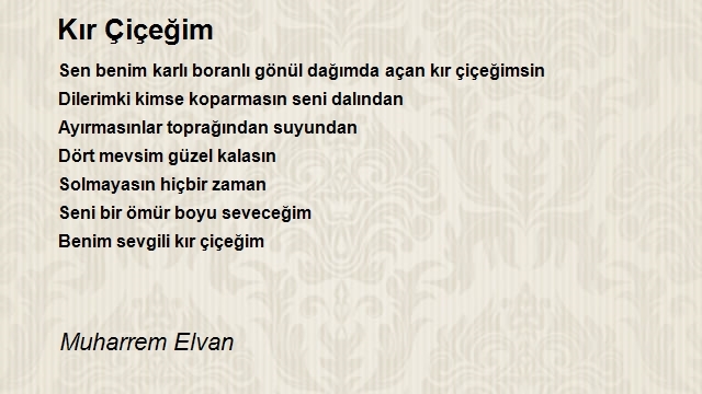 Muharrem Elvan