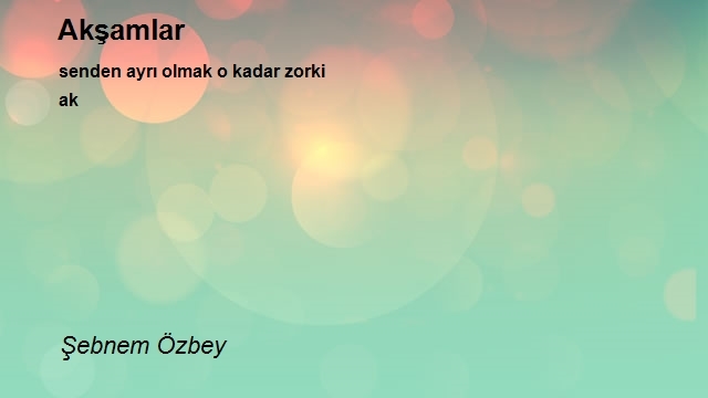 Şebnem Özbey