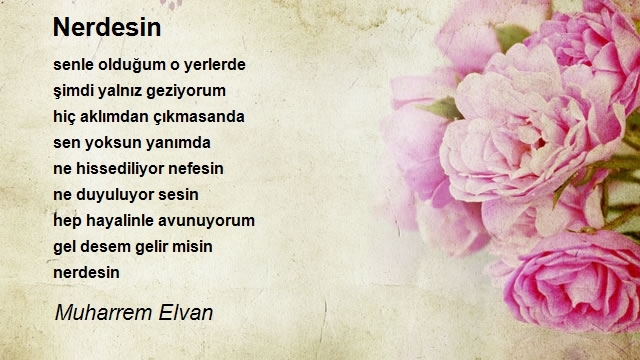 Muharrem Elvan