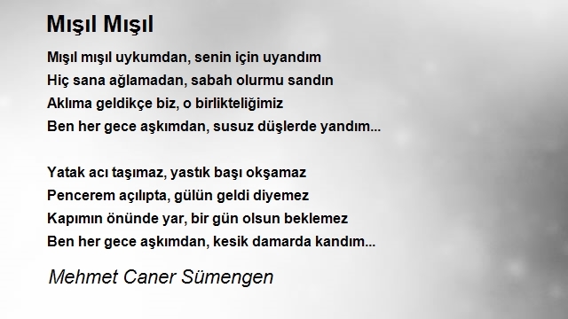 Mehmet Caner Sümengen