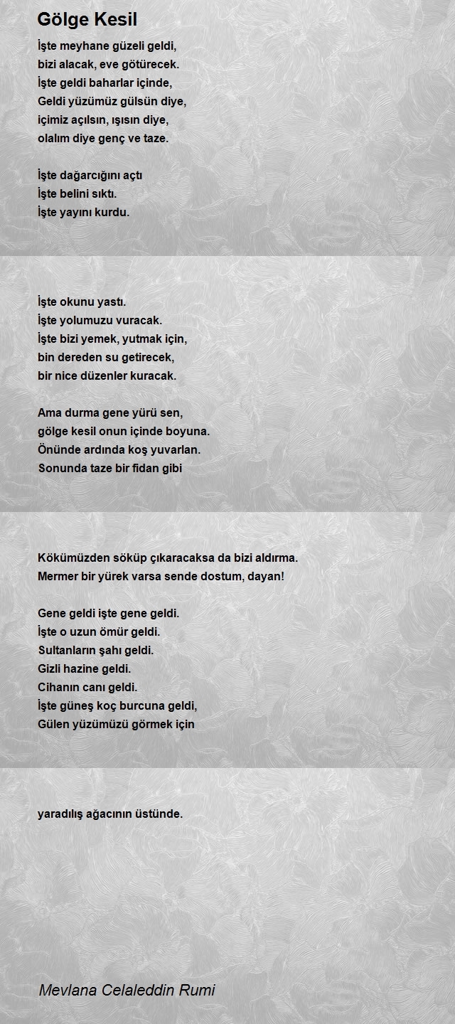 Mevlana Celaleddin Rumi