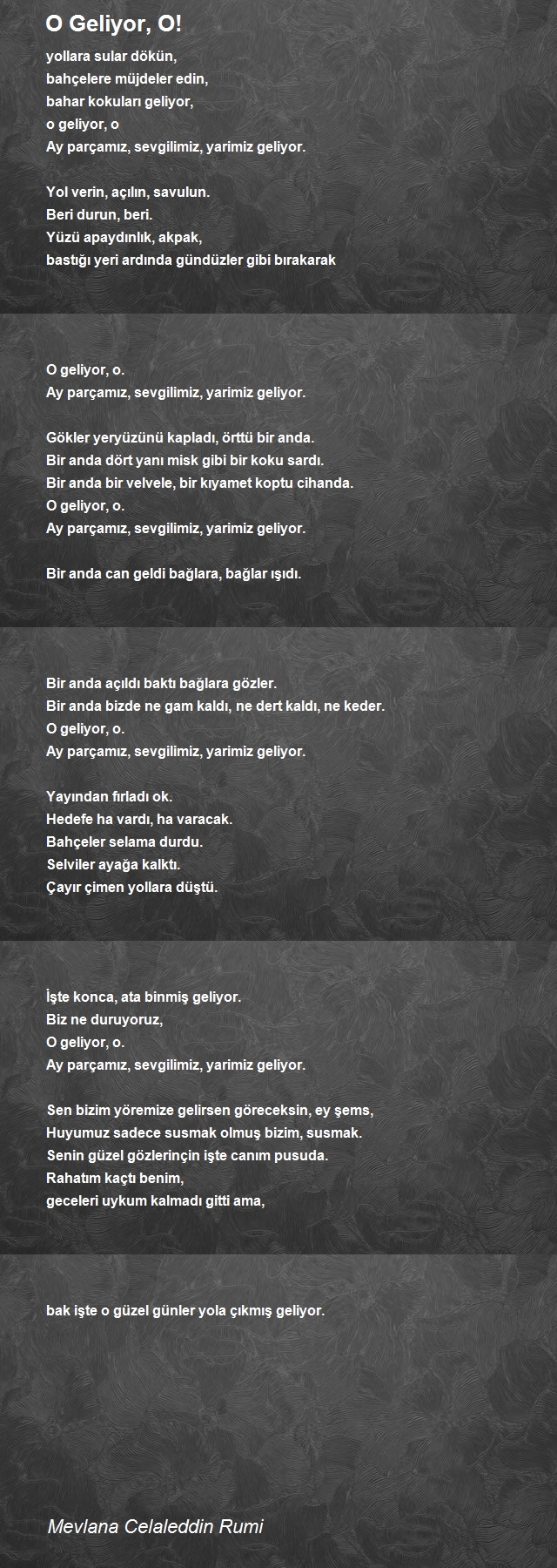 Mevlana Celaleddin Rumi