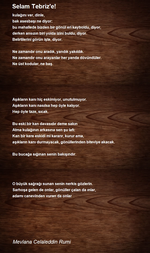 Mevlana Celaleddin Rumi