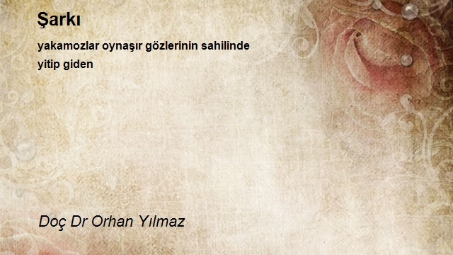 Doç Dr Orhan Yılmaz