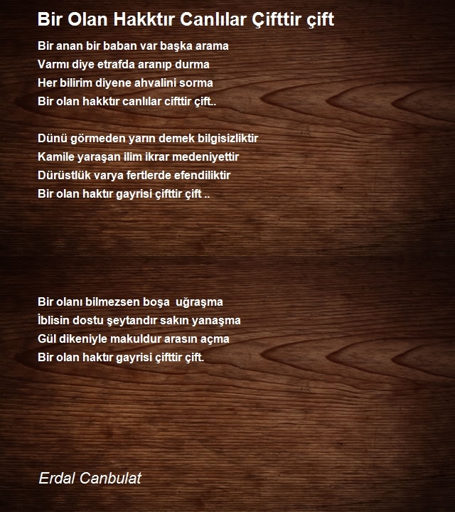 Erdal Canbulat