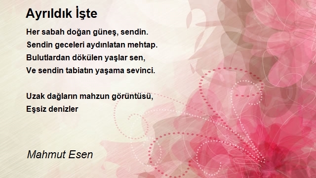 Mahmut Esen